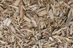 biomass boilers White Lund